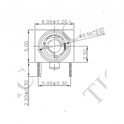 TSH-976-B.JPG